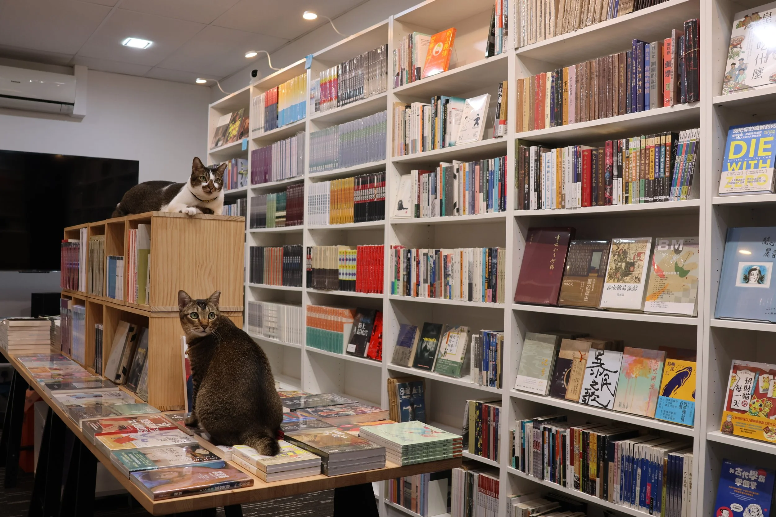 Sea Breeze Books