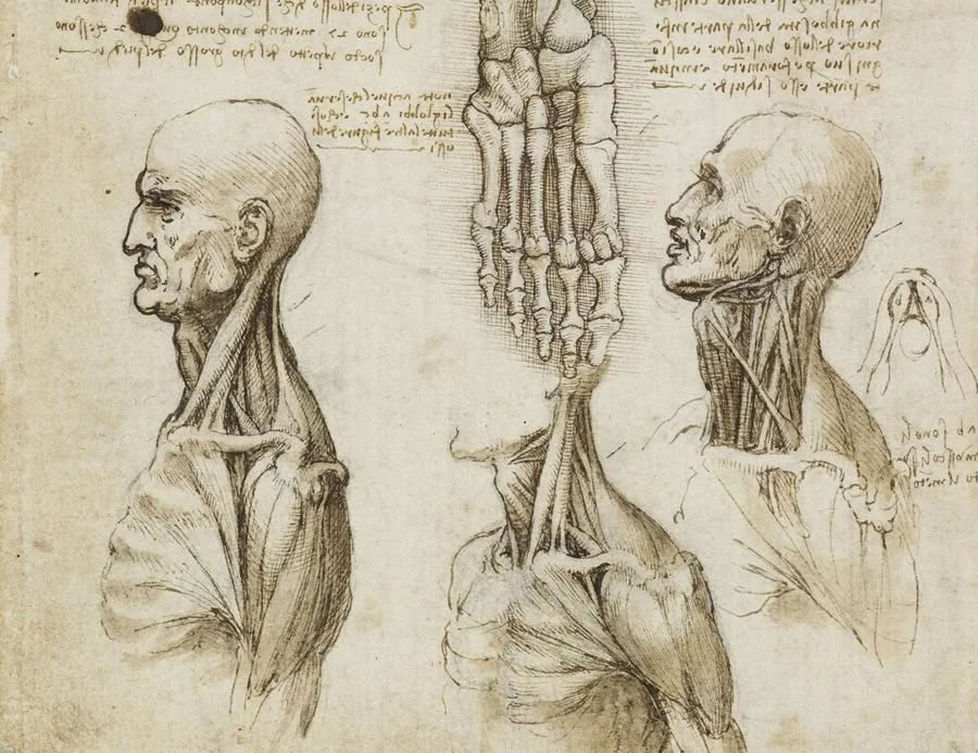 Leonardo_Neck.jpg