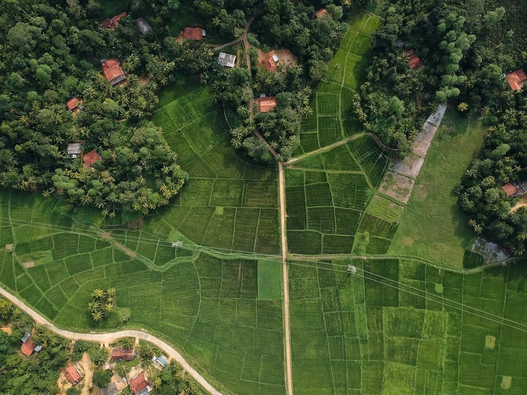 unsplash-image-GURzQwO8Li0.jpg