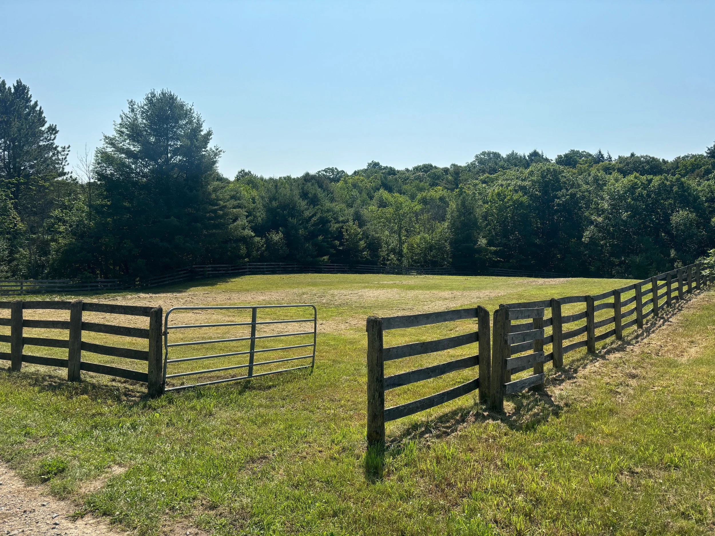 paddock 2.jpg