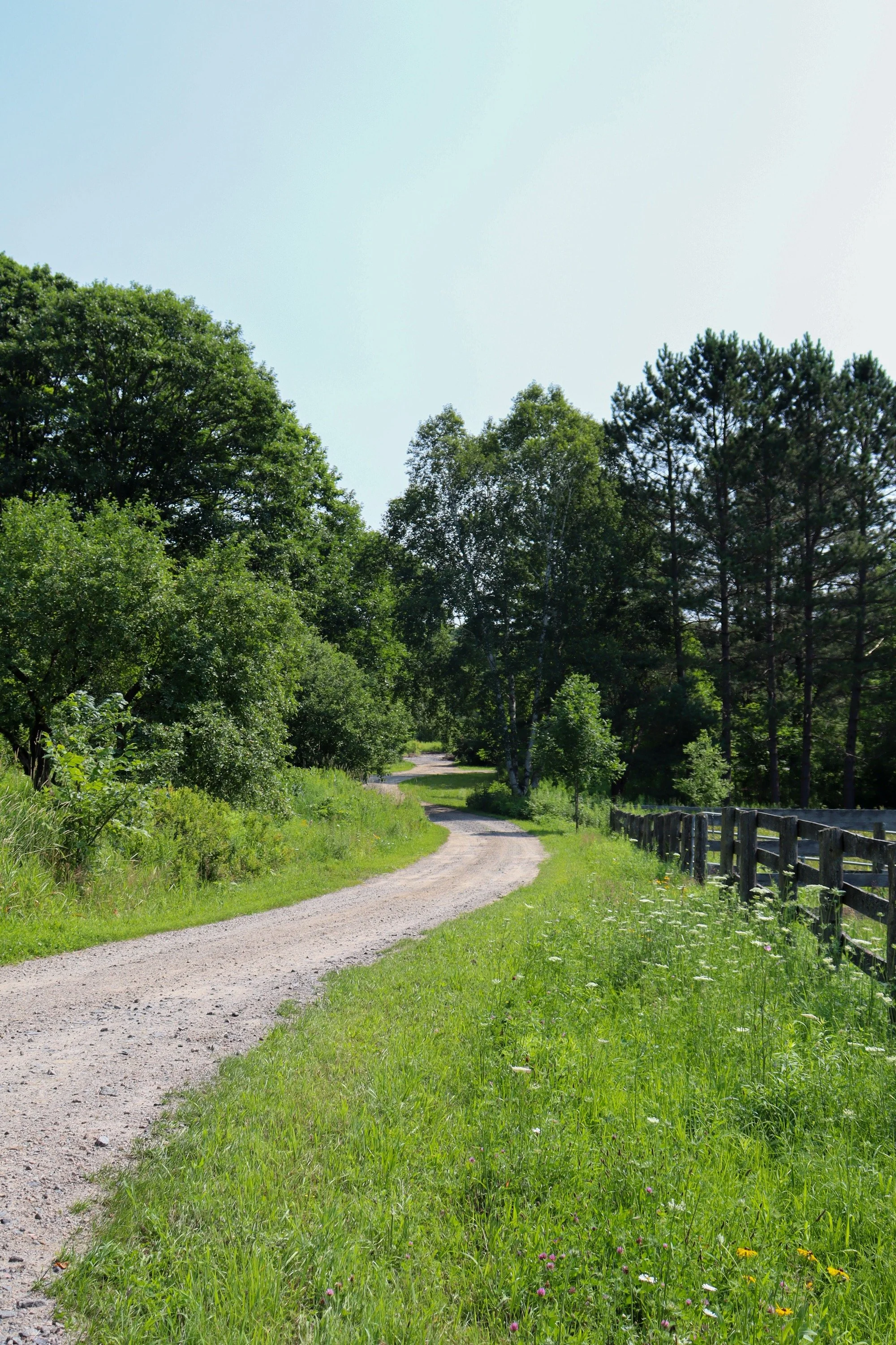 Driveway.jpg