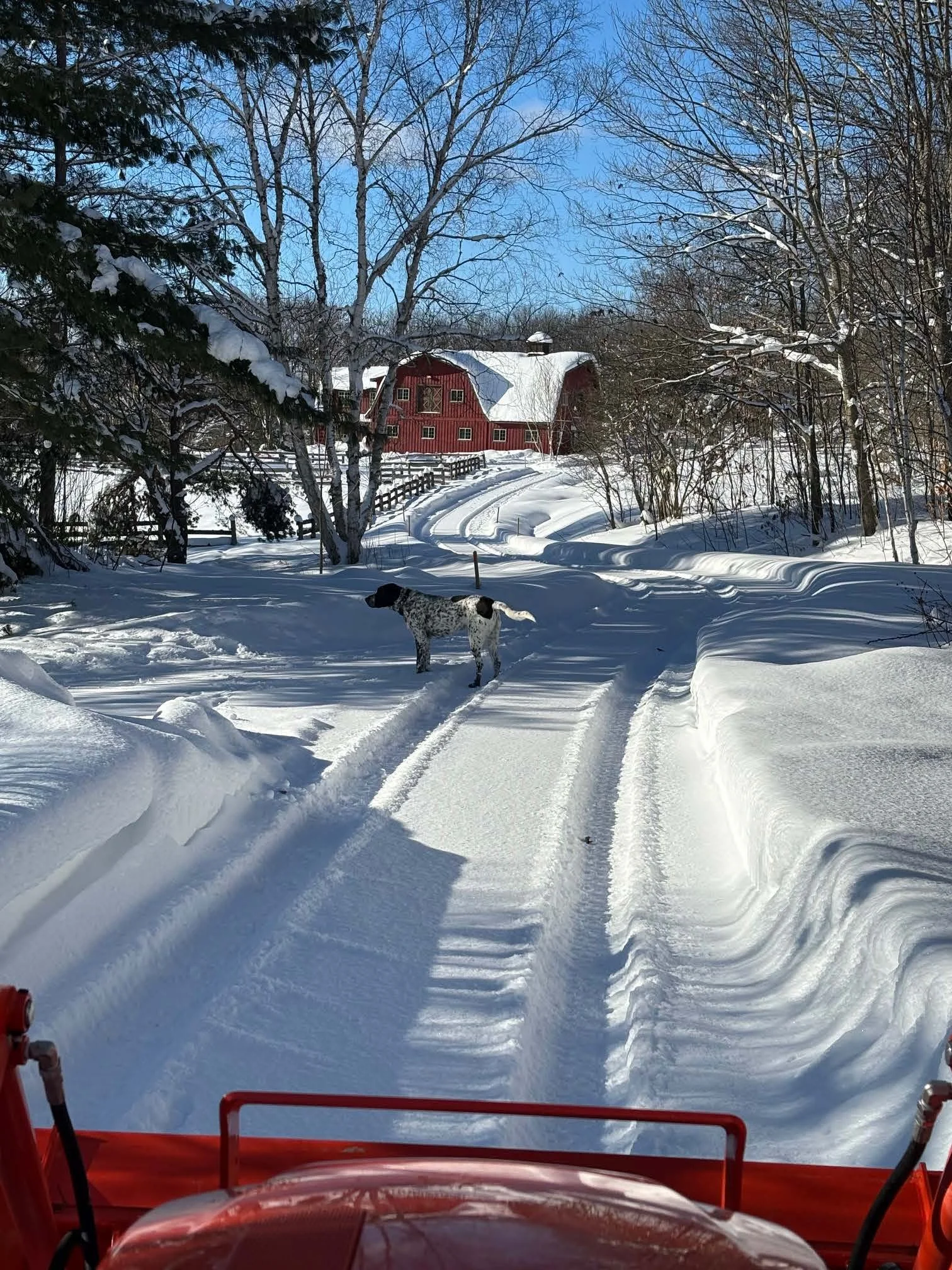 snow driveway.jpg