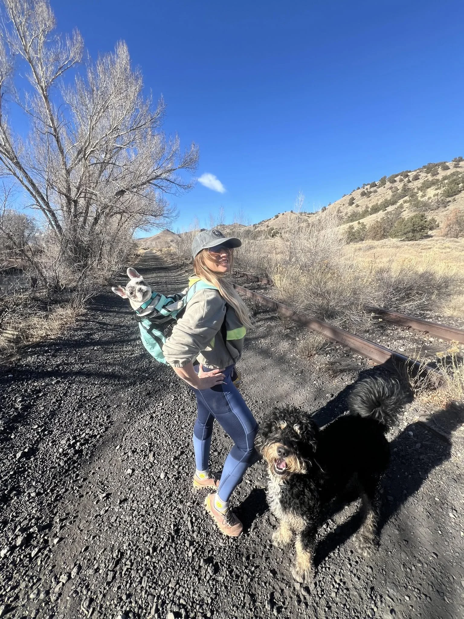 A woman standing on a gravel trail with a backpack and wearing a cap, surrounded by three dogs, outdoors in a hilly, dry landscape with clear blue skies and sparse trees.