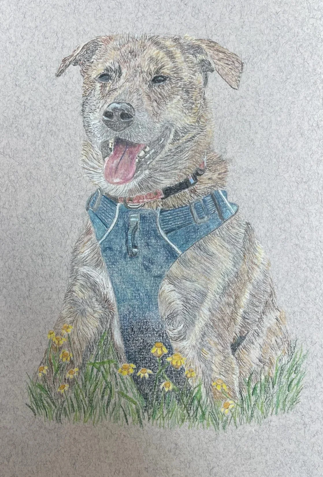Colored pencil drawing of a happy dog wearing a denim vest, sitting on grass with yellow flowers.