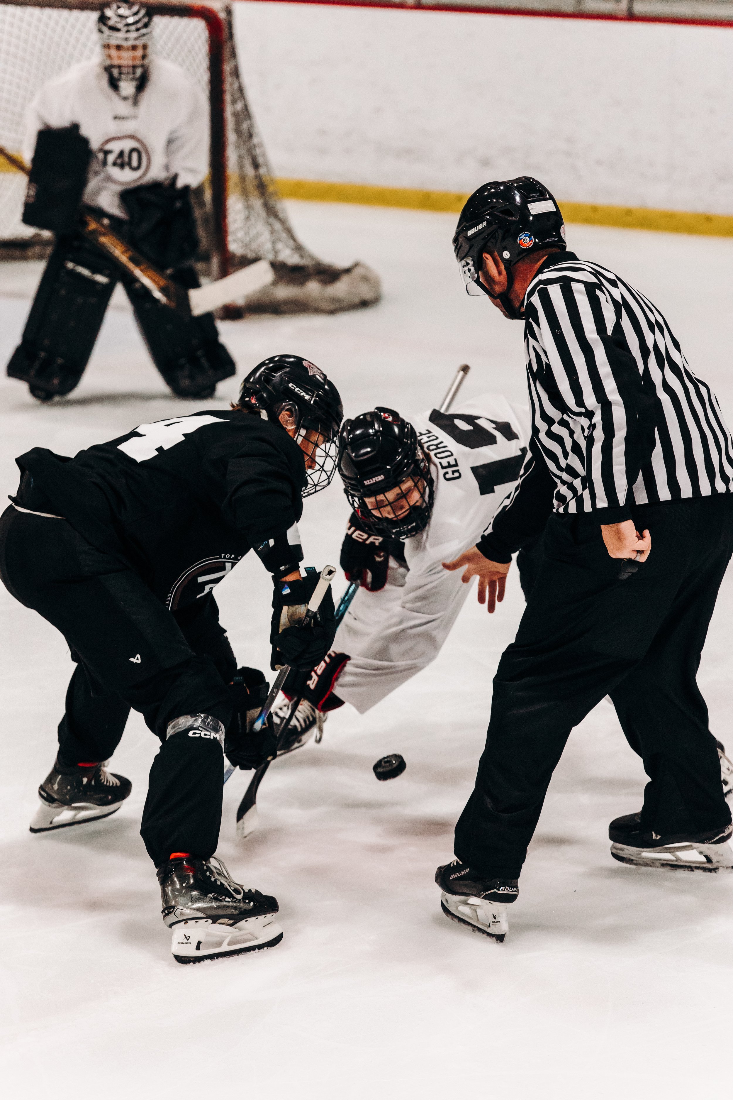 Hockey players in black and white jerseys competing for puck on ice rink, referee standing nearby, goalie in background.