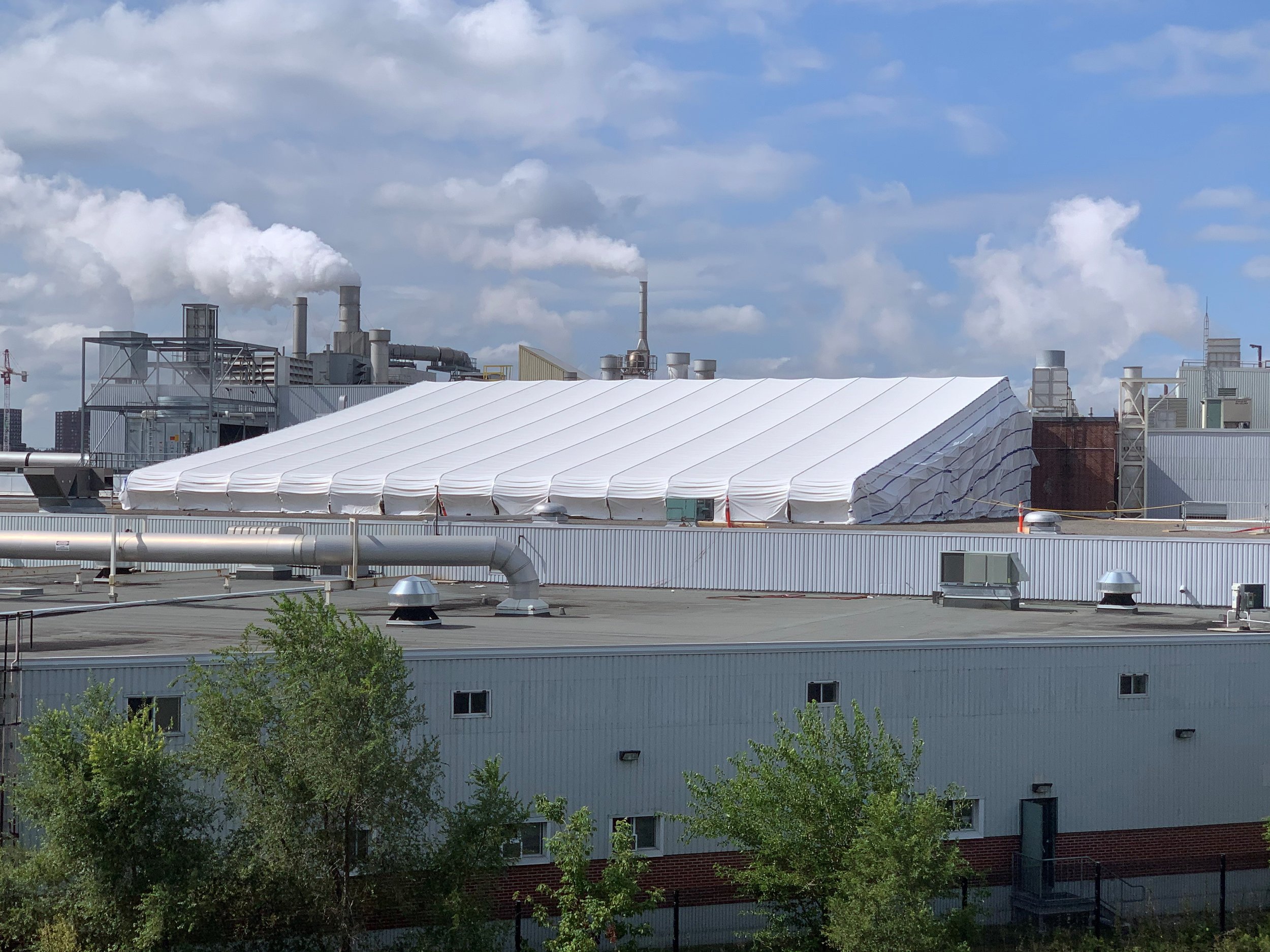 Roof2 (1).jpg