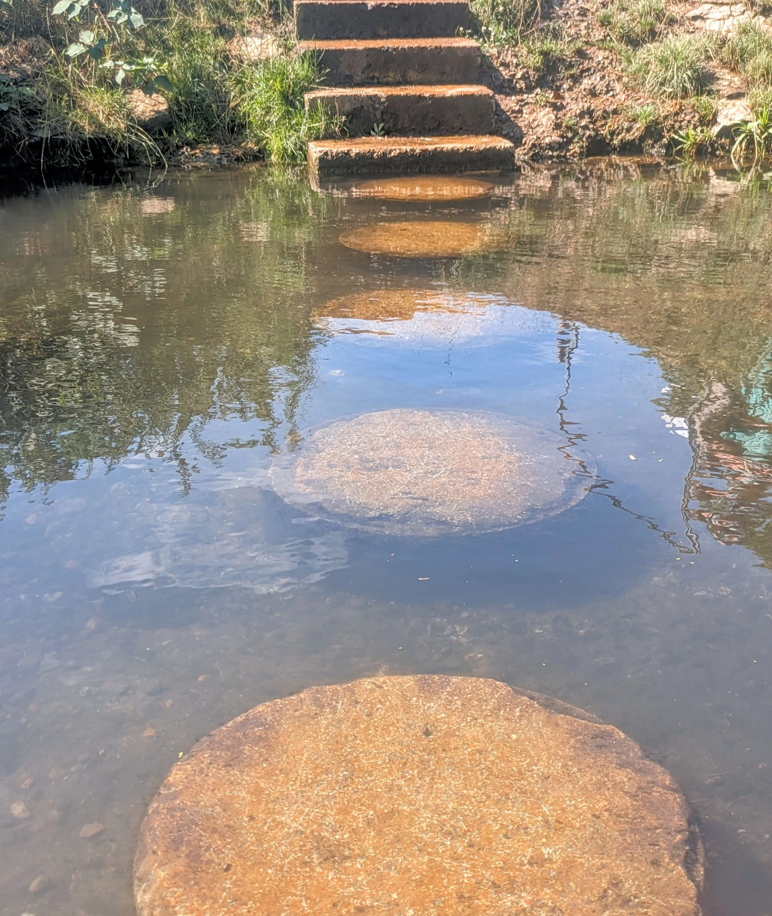 A set of stone steps leading down into a body of water, with green grass and plants on the bank beside the steps. The water reflects the steps and sky above.