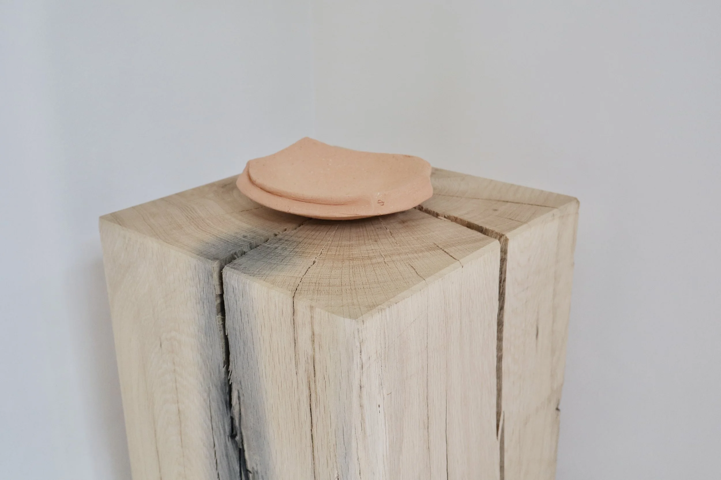 TERRA No. 03
