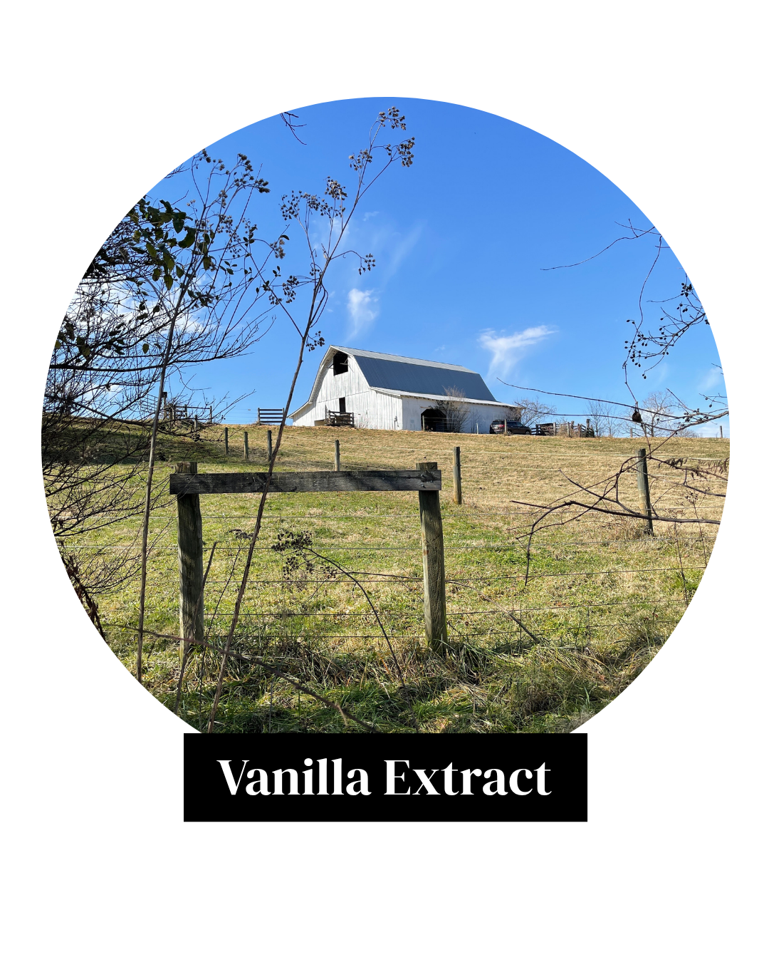 Vanilla Extract