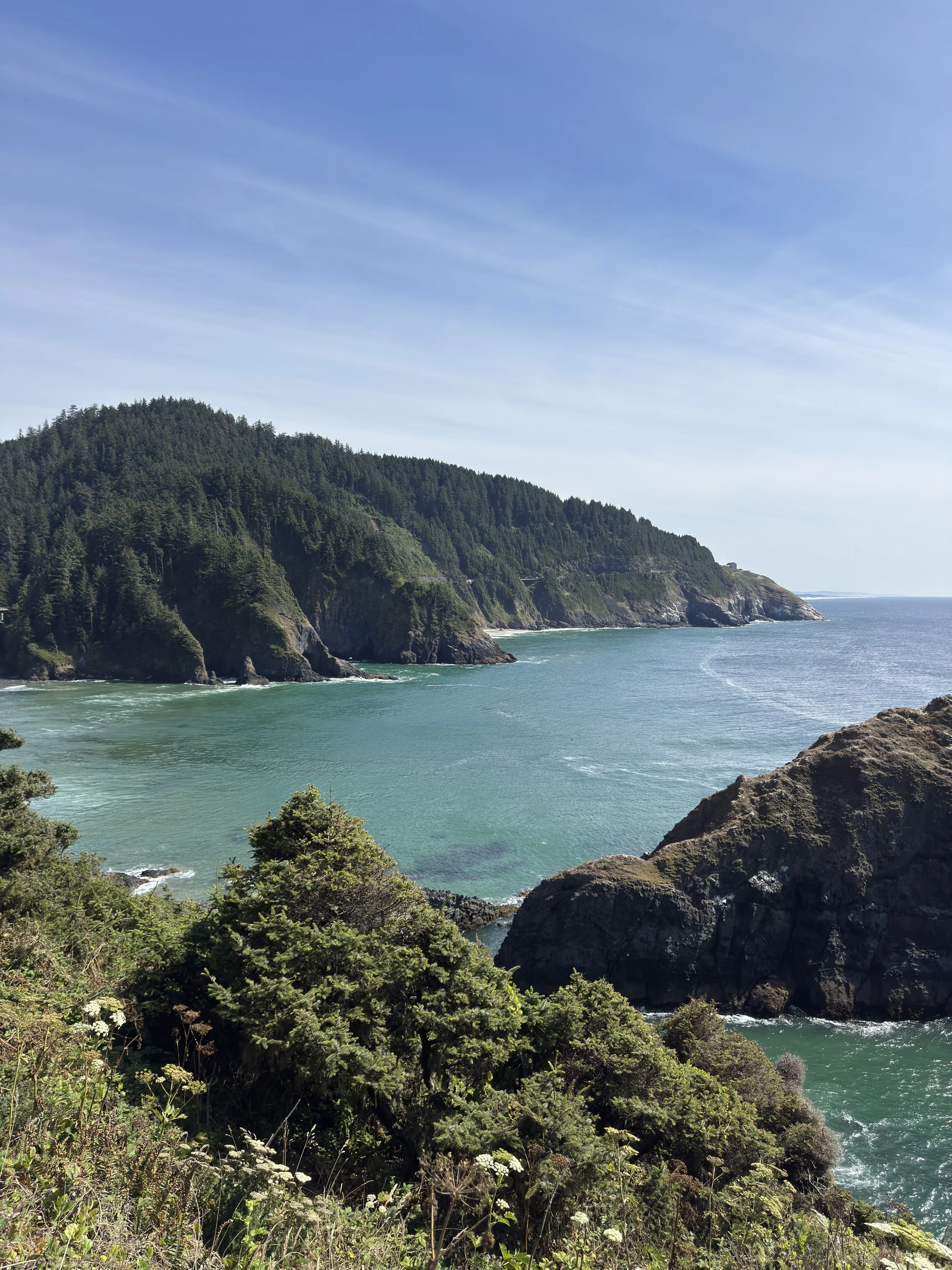 A scenic view of a coastline with lush green forests on the cliffs and the ocean stretching towards the horizon under a partly cloudy sky.