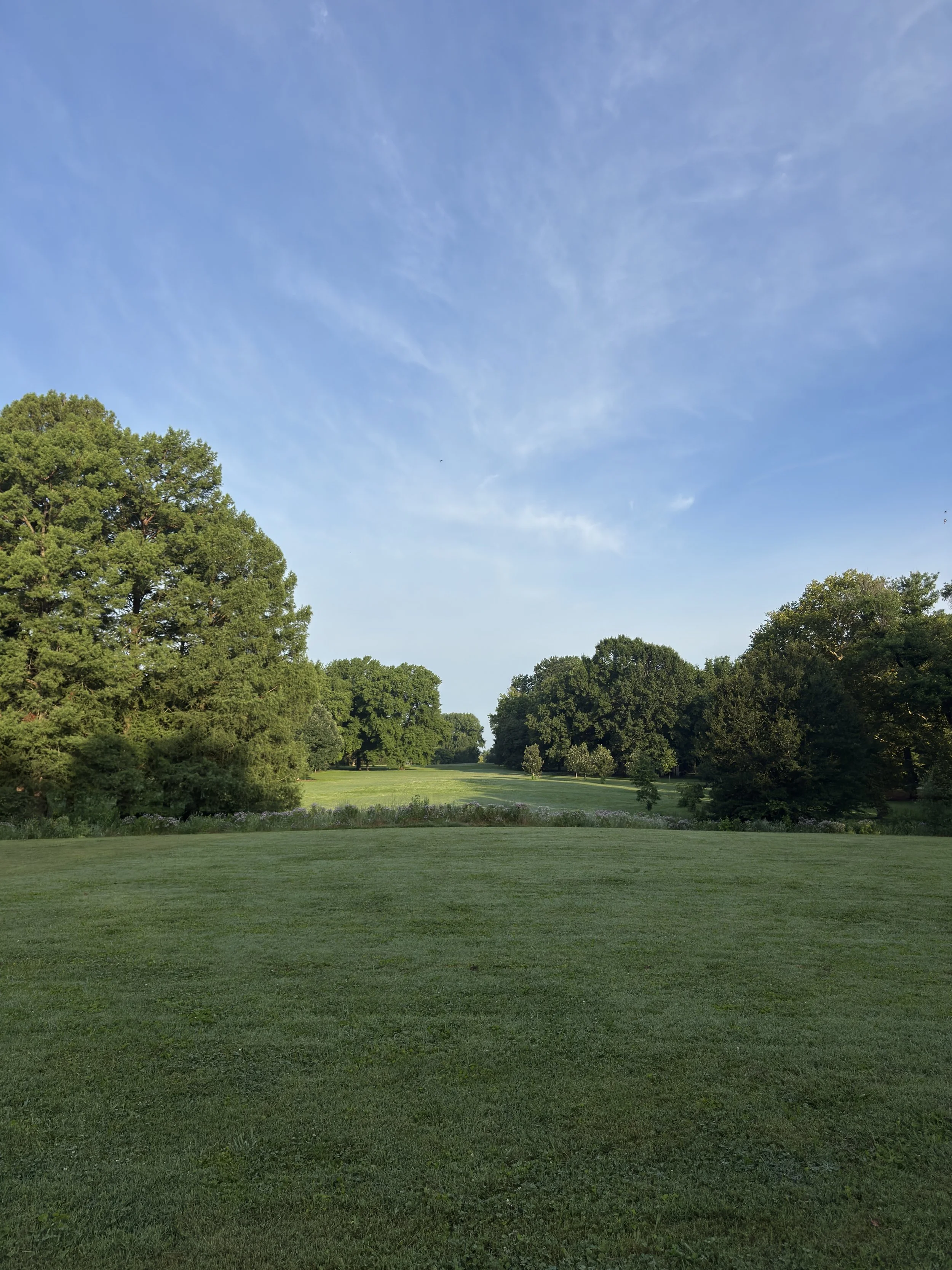 A scenic view of a lush green park with several large trees and a neatly manicured lawn under a bright blue sky with scattered clouds.
