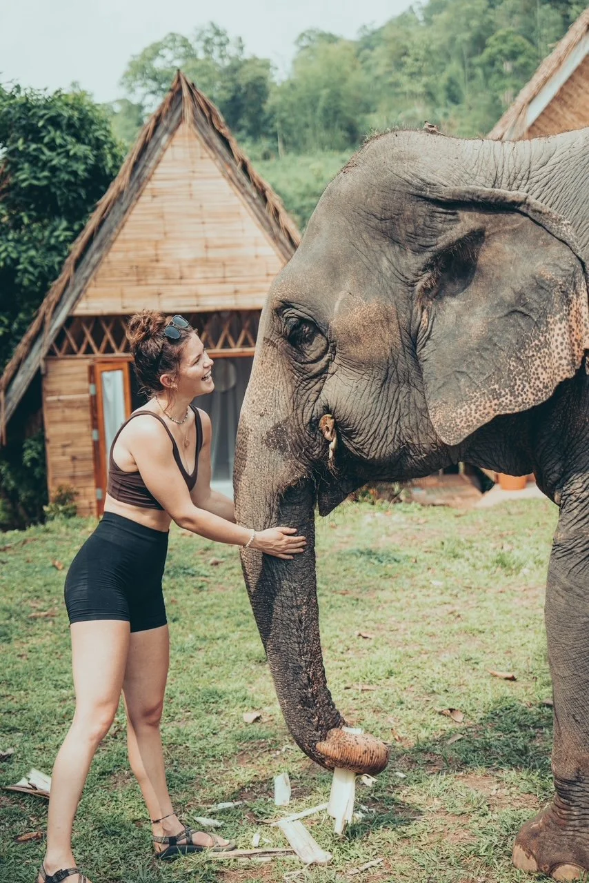 A woman smiling and holding the trunk of an elephant in front of a wooden hut with a thatched roof, surrounded by green trees and grass.