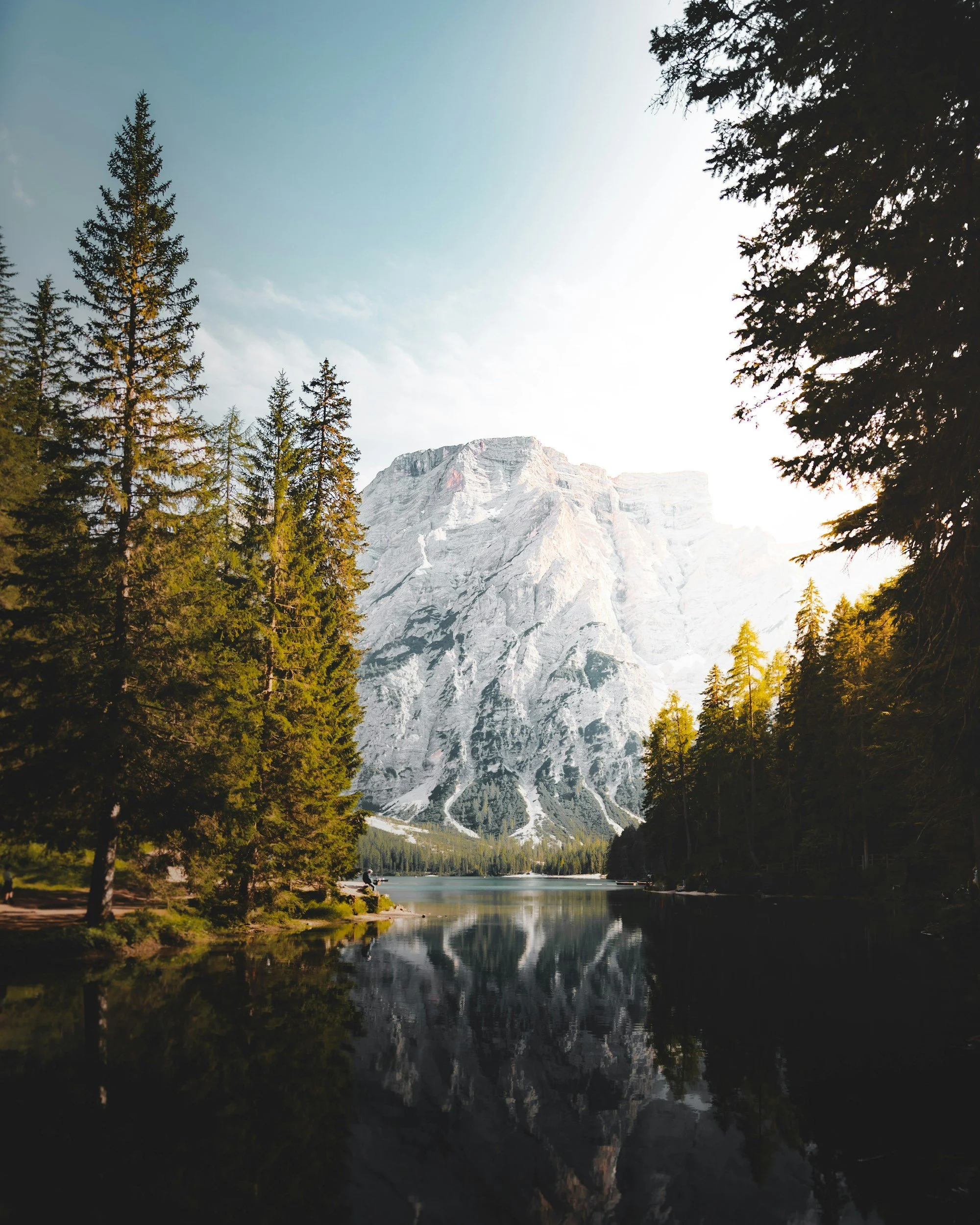 A serene mountain landscape featuring tall pine trees, a calm lake, and a snow-capped mountain in the background.