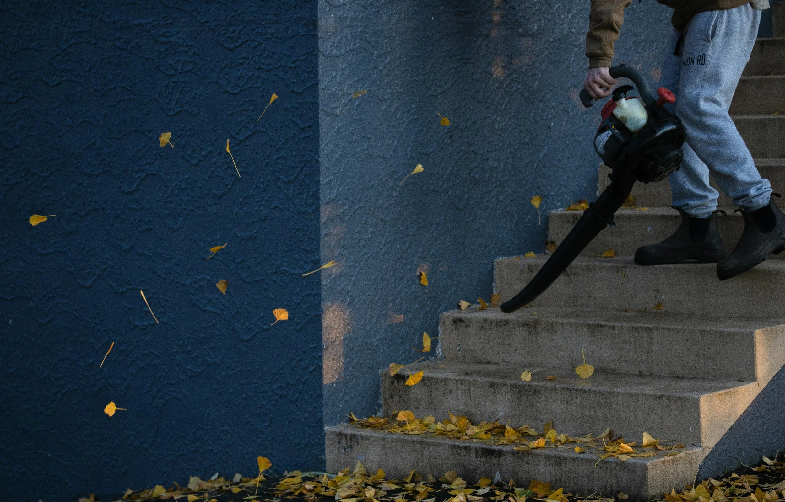 Person holding a leaf blower on concrete stairs, with scattered yellow leaves and a textured blue wall in the background.