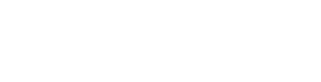 Duetto logo