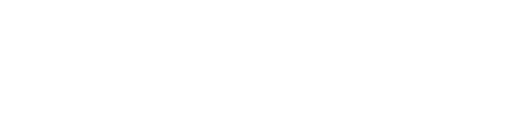 Viking logo