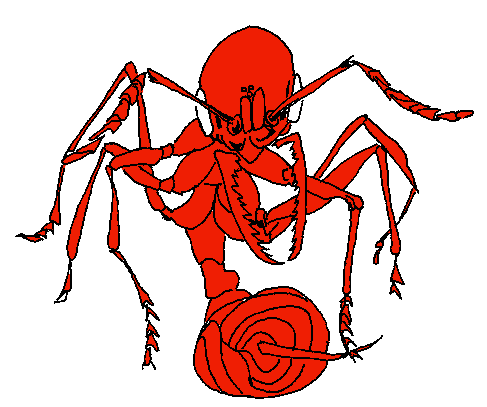 unnamed (17).png