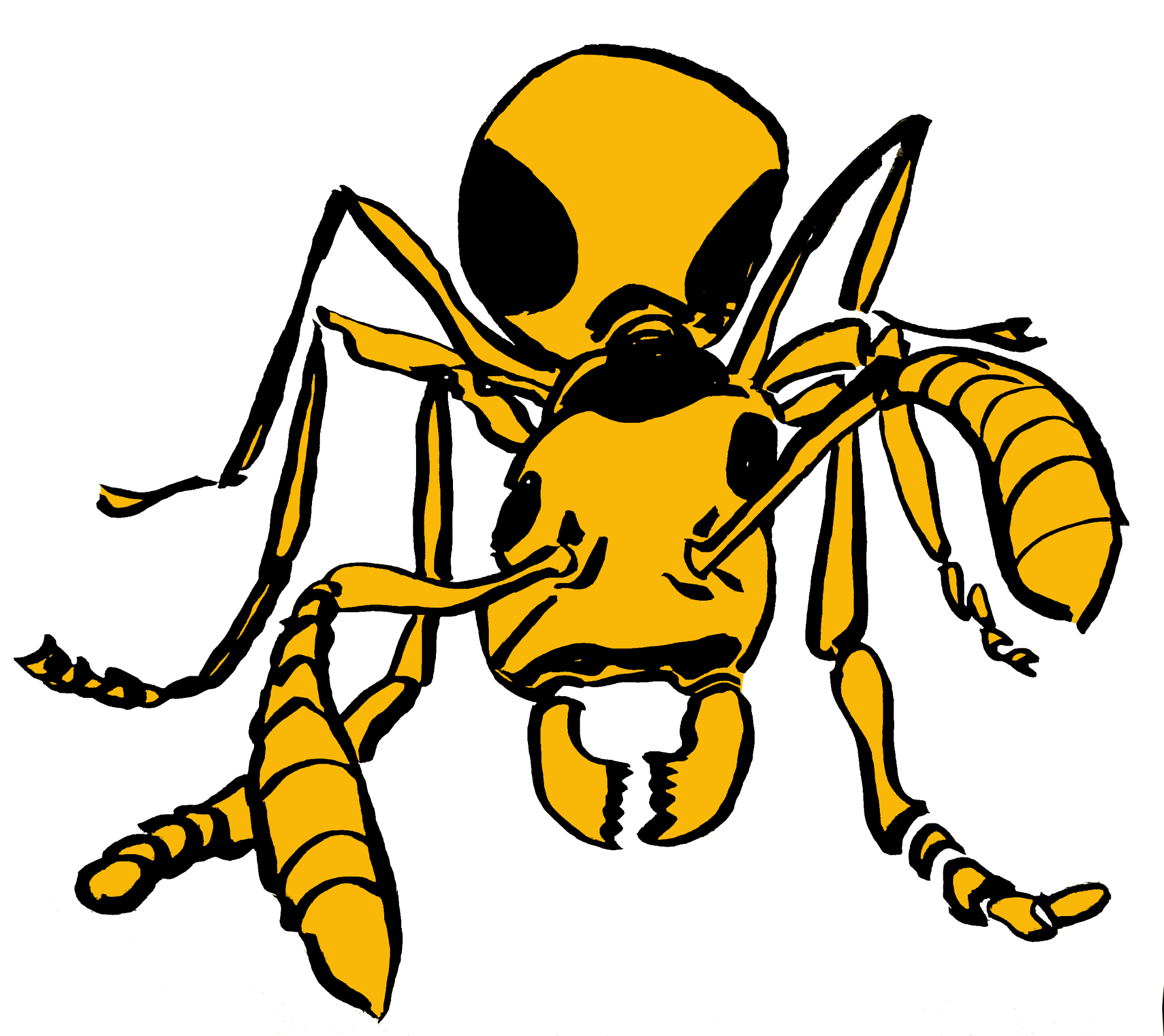 unnamed (18).png