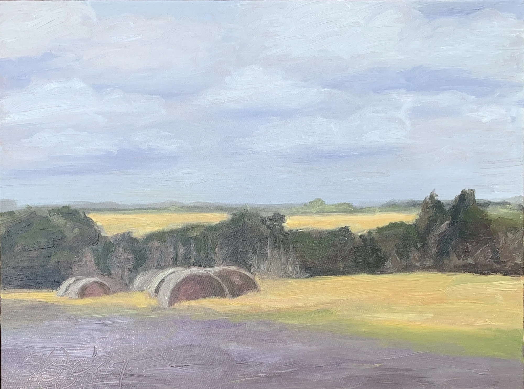 Purple Field