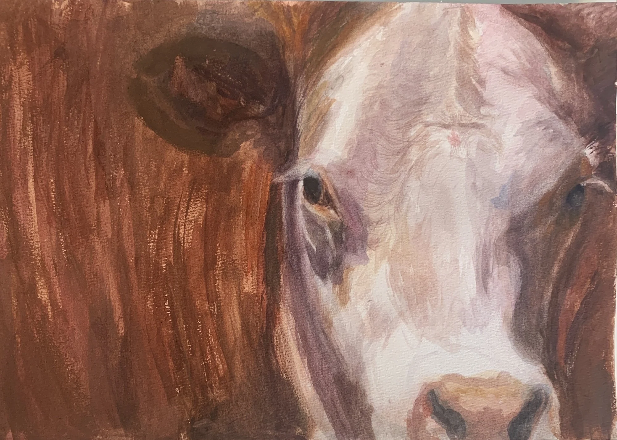 Cow