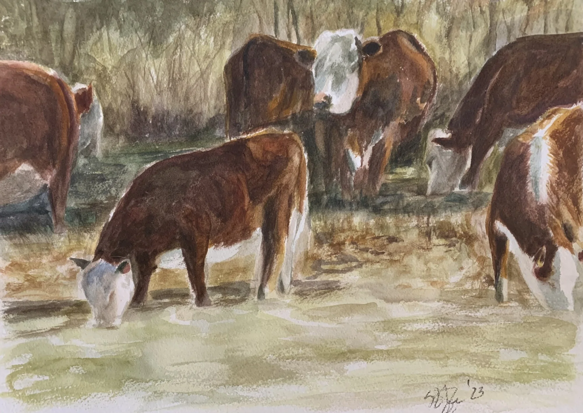 Kris-Shaffer_Watercolor_Animal_6-Cows-2000px.jpeg