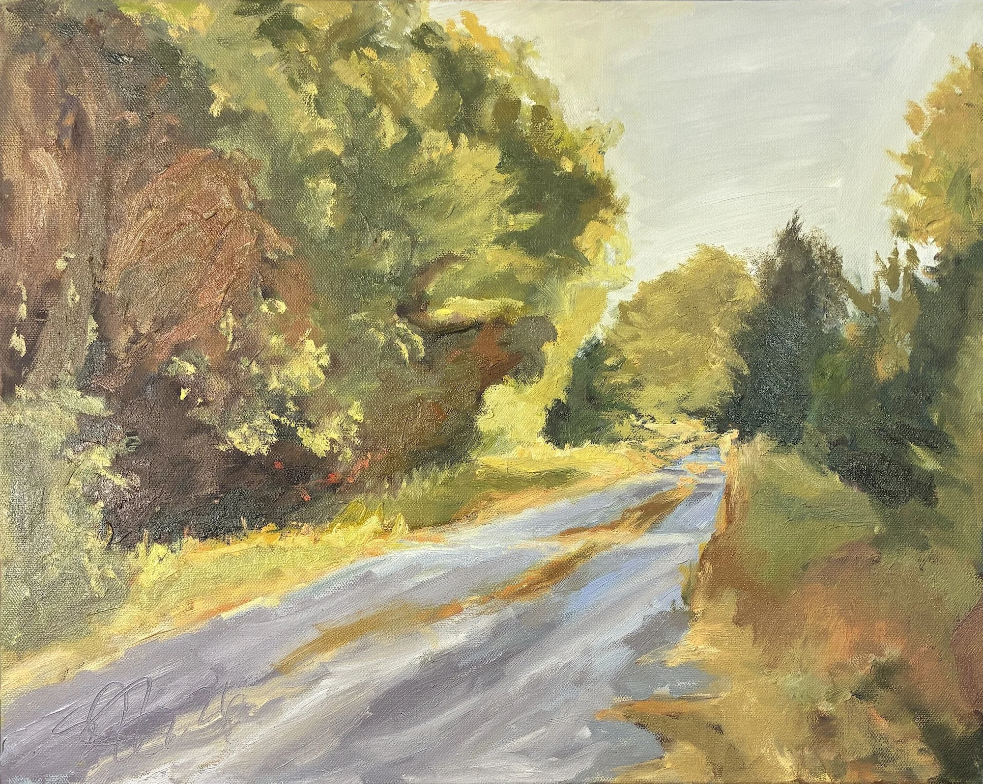 Dappled Shadows