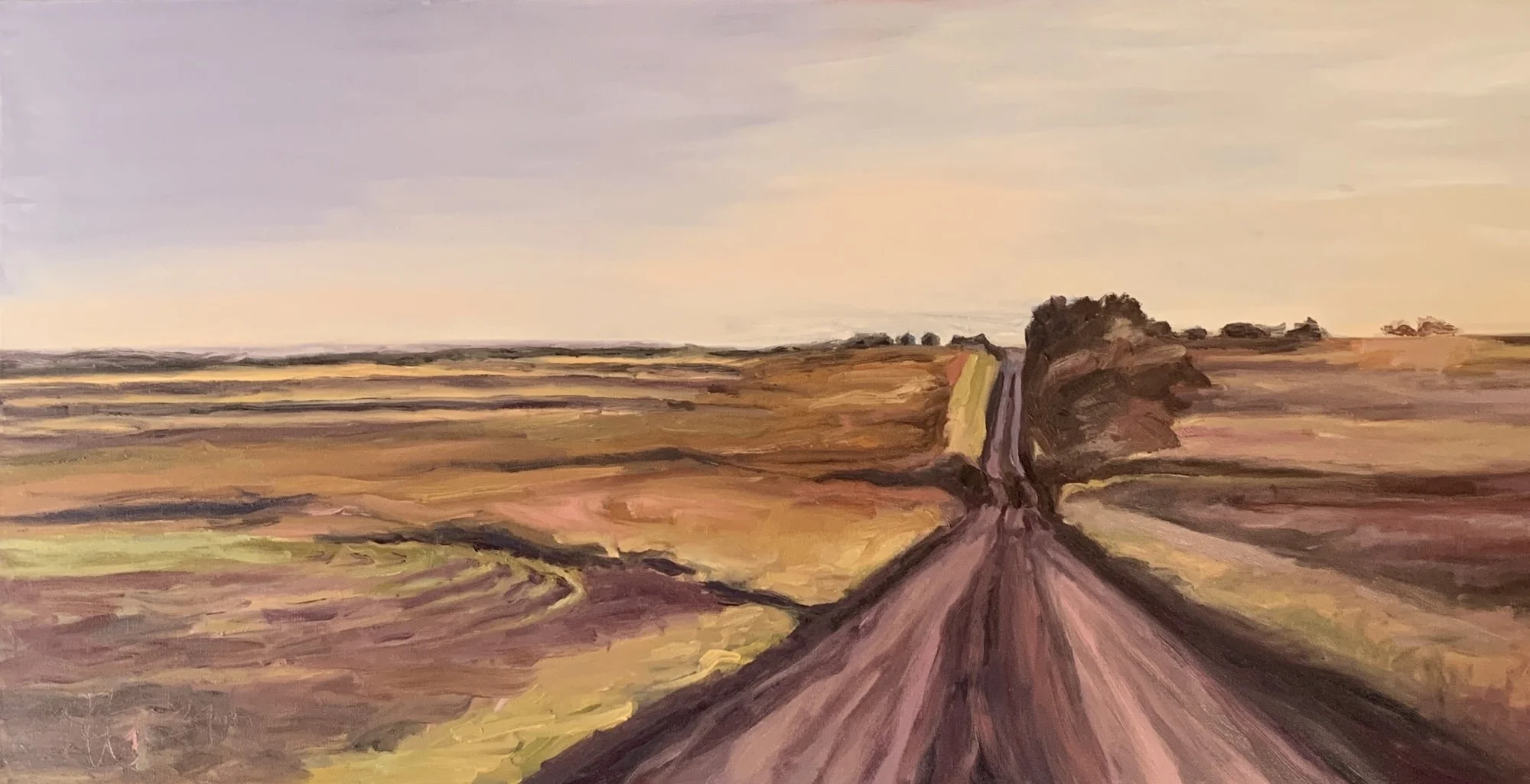 Long Field