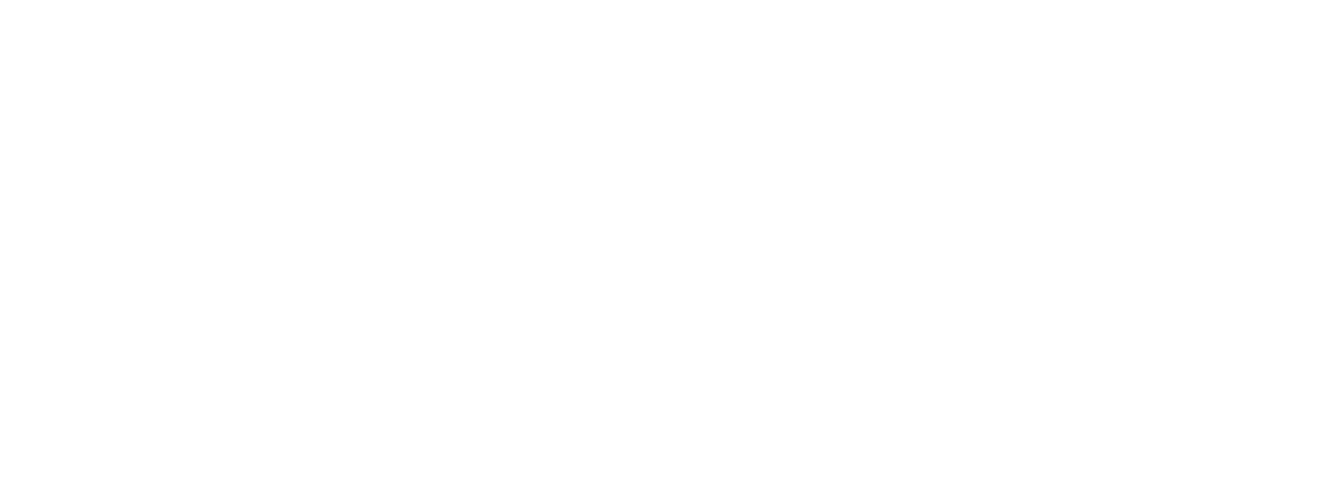 919 Source