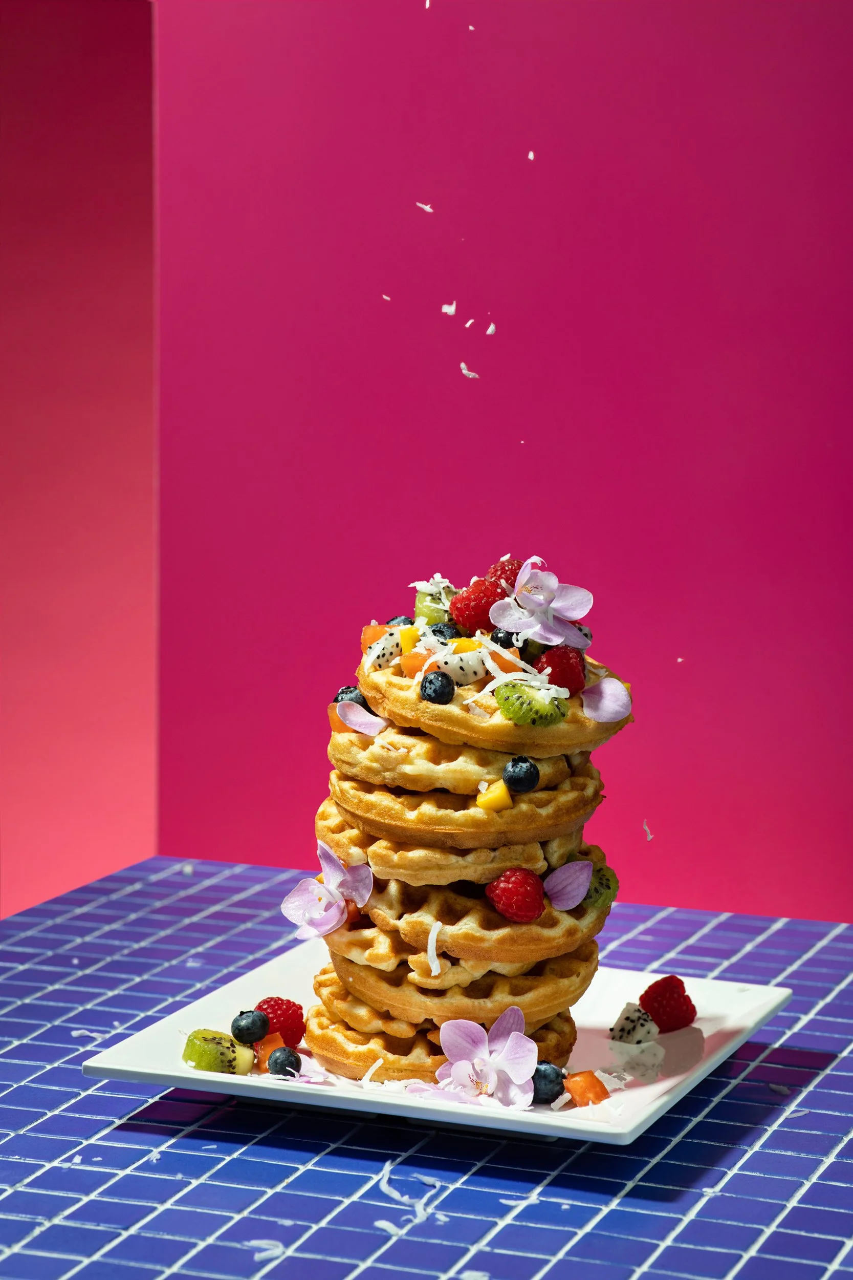 Waffles_stopmotion_coconut copy.jpg