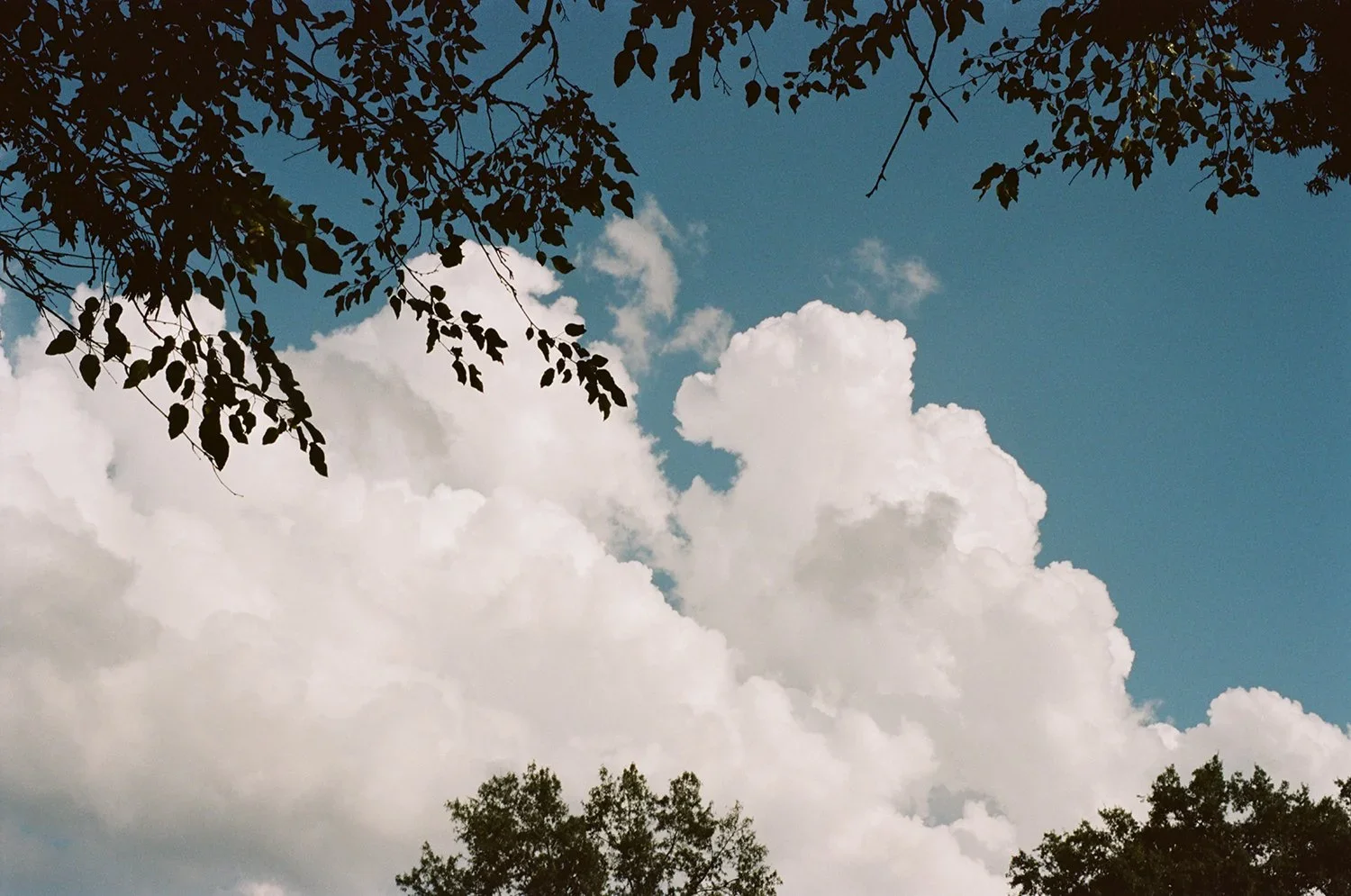 001441780020_2.webp