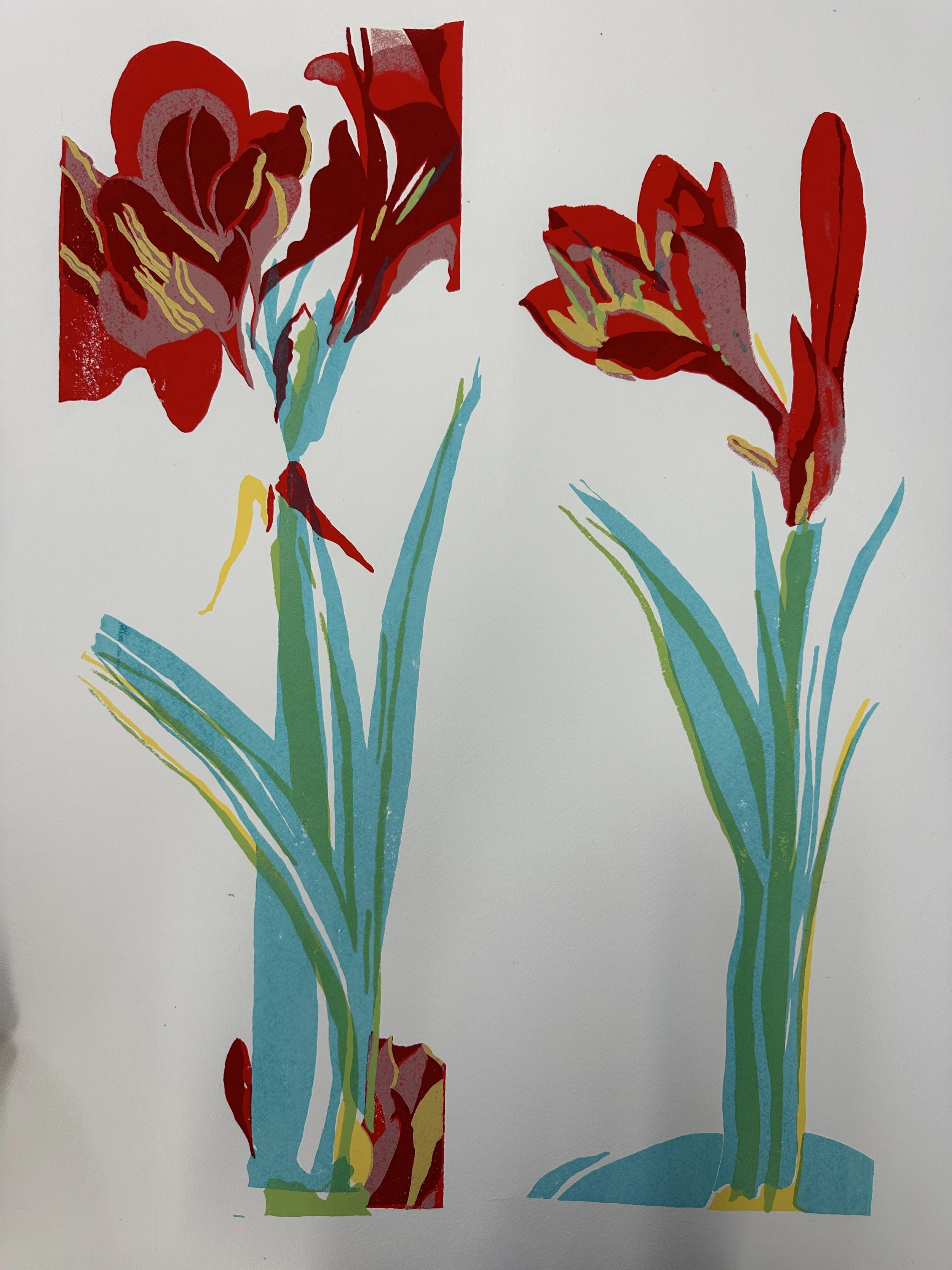 Amaryllis