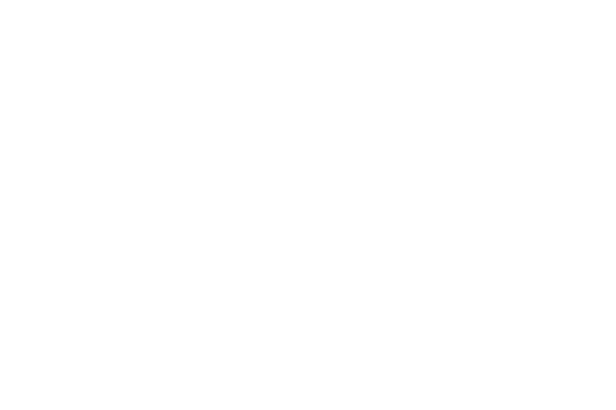 Born Licensing Agency Partners_White4.png