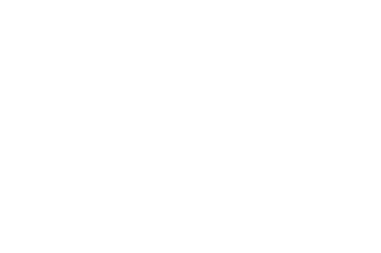 Born Licensing Agency Partners_White7.png