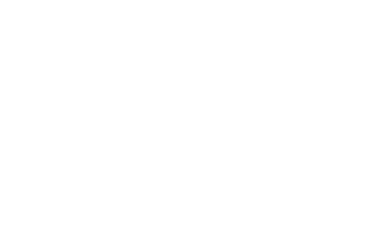 Born Licensing Agency Partners_White21.png