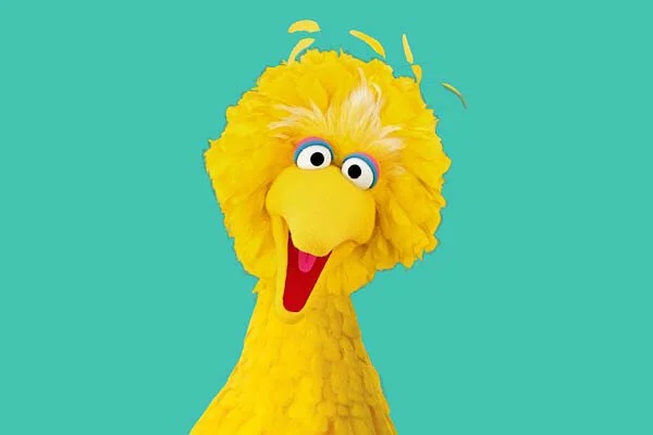 Sesame Street Hero_Images.jpg