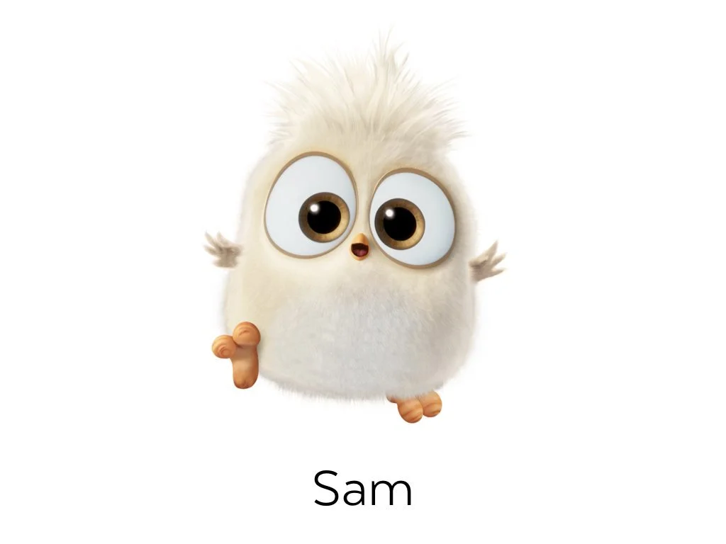 Angry Birds Characters.003.jpeg