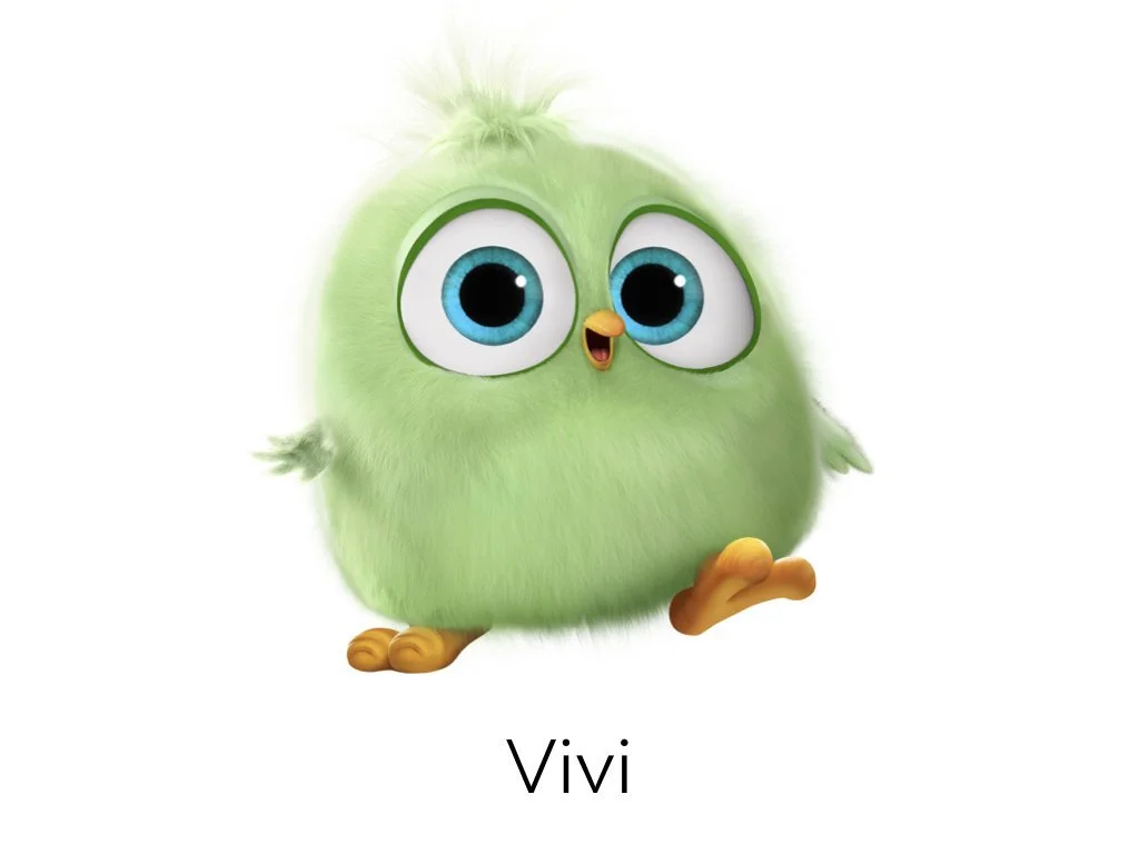 Angry Birds Characters.002.jpeg