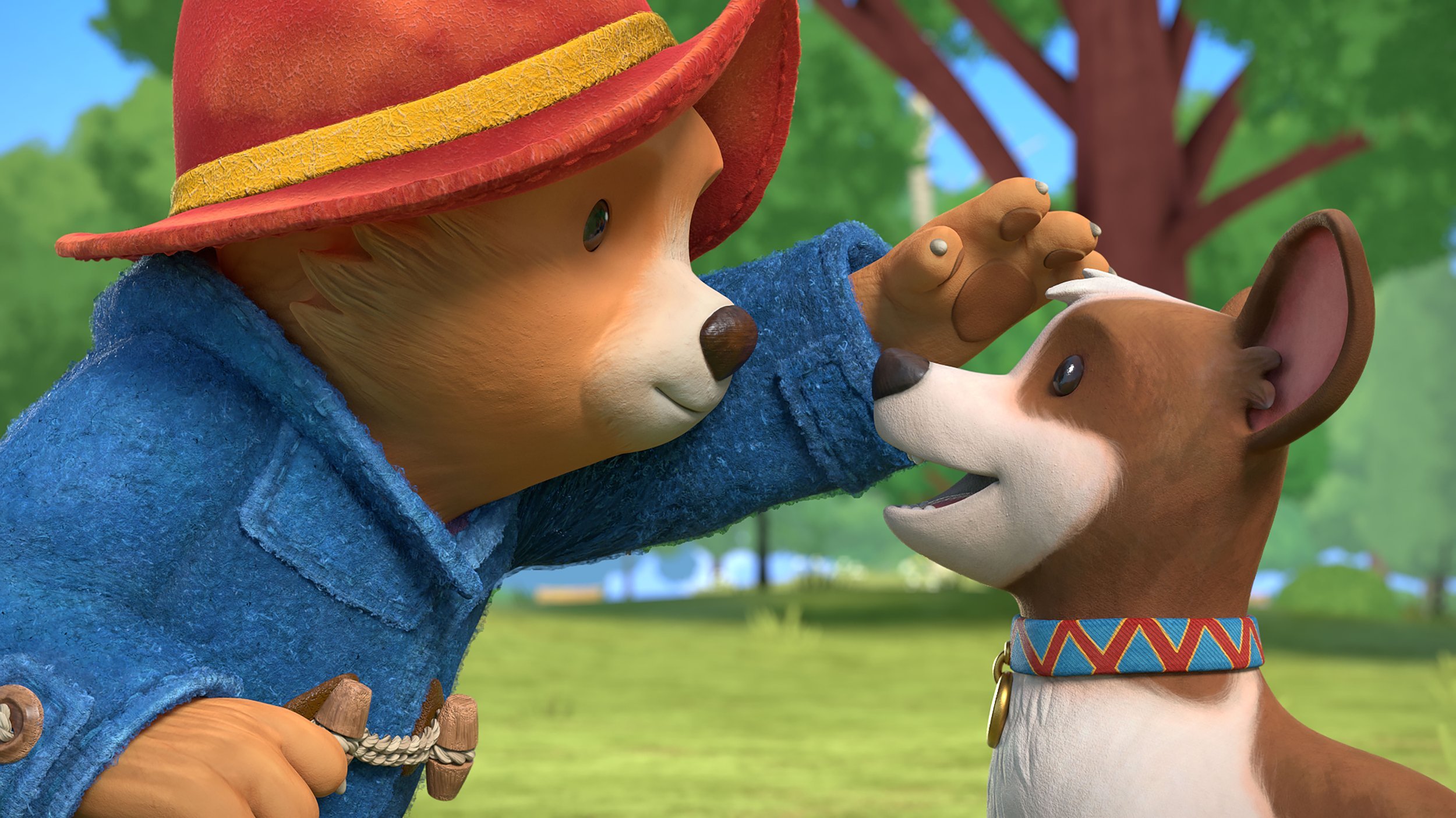 PB1_126_DOG_002_060.jpg