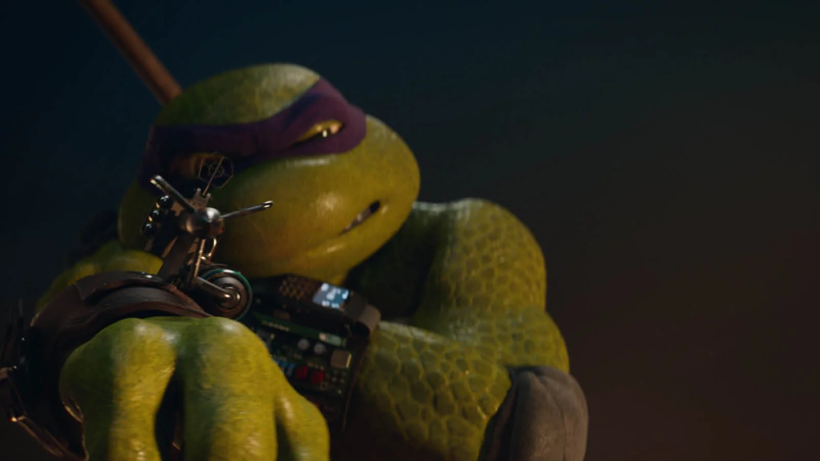 Donatello x Direct Line3.jpg