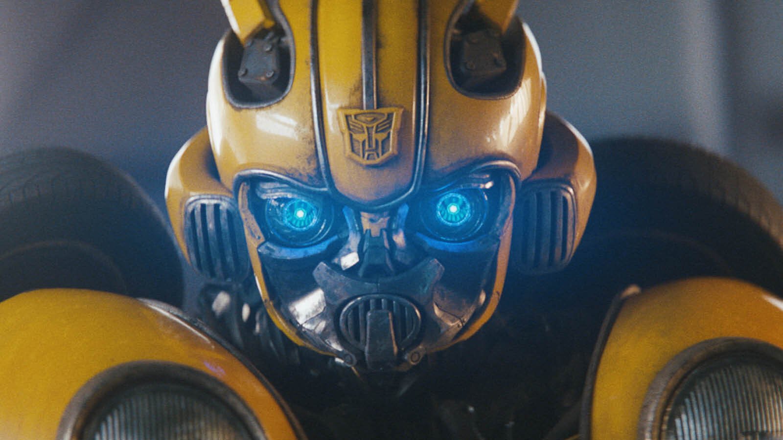 Bumblebee x Direct Line.jpg