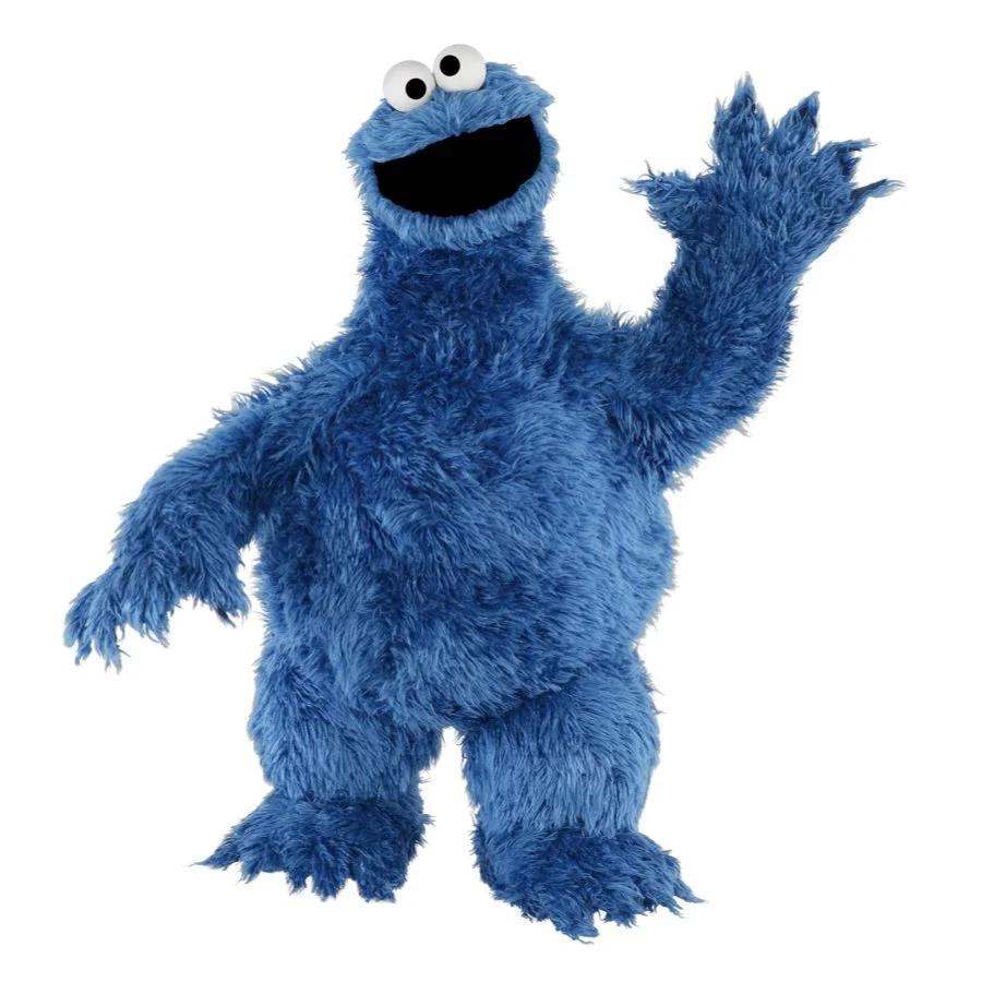COOKIE MONSTER