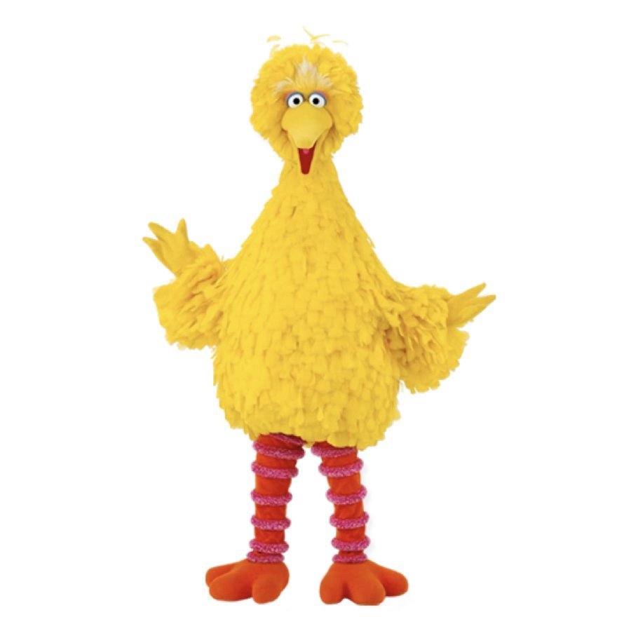 BIG BIRD