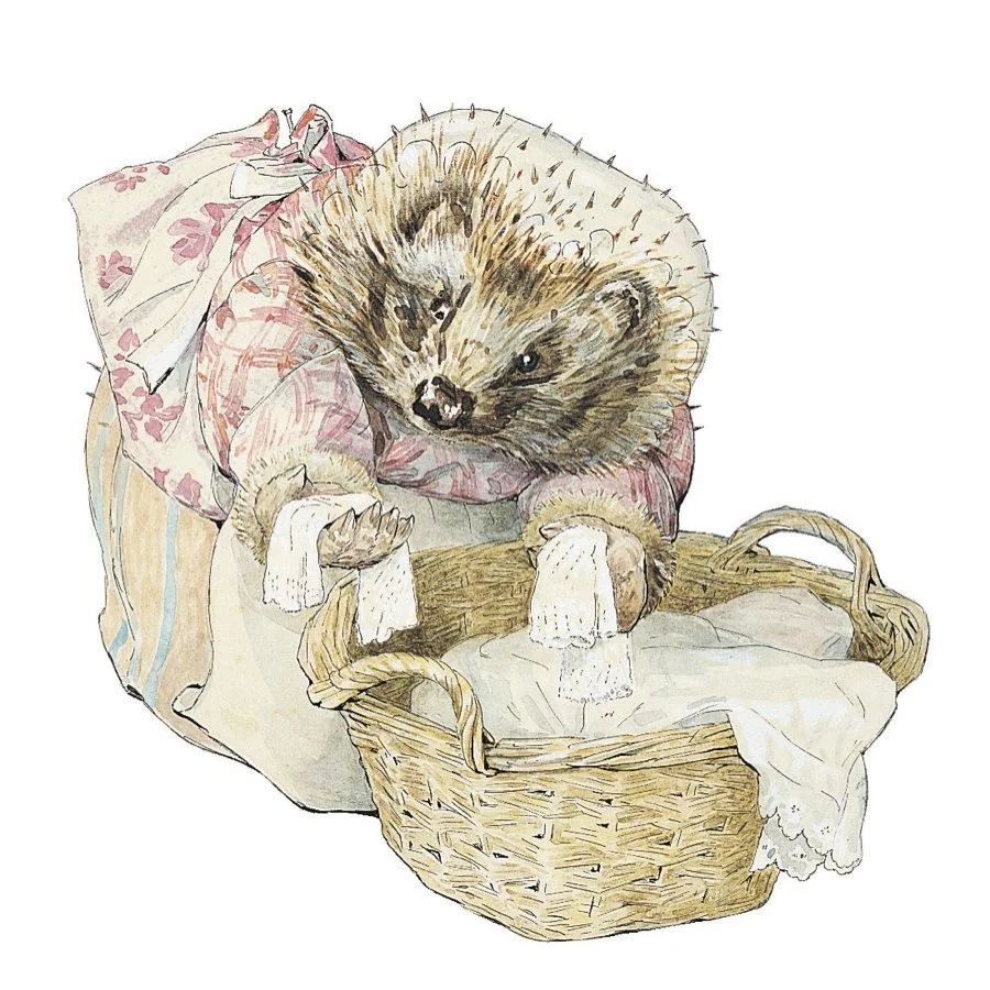 MRS. TIGGY-WINKLE