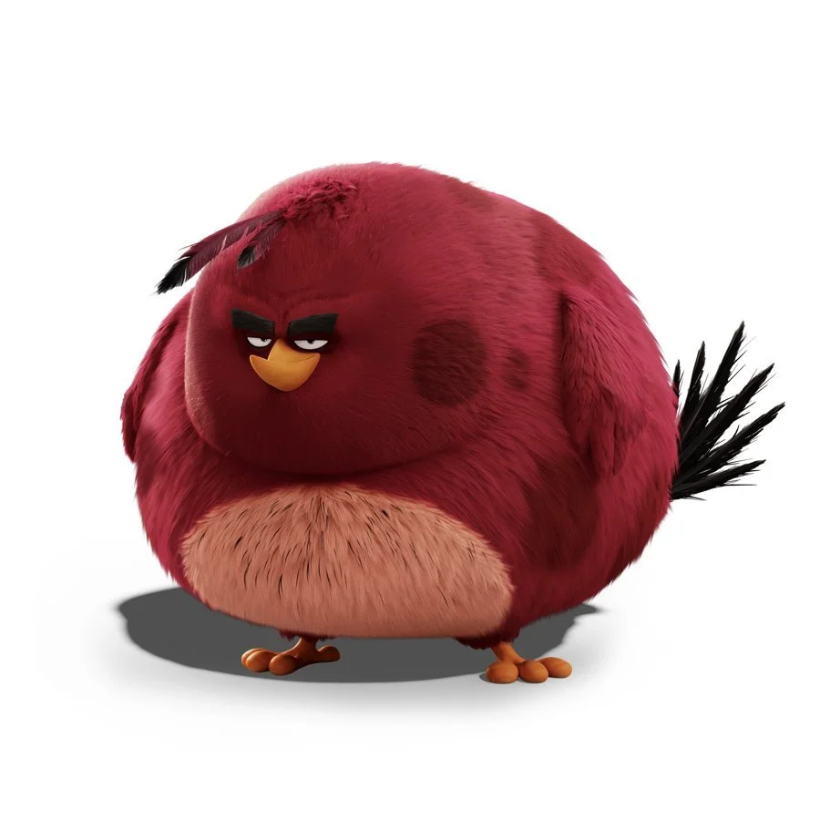 TERENCE