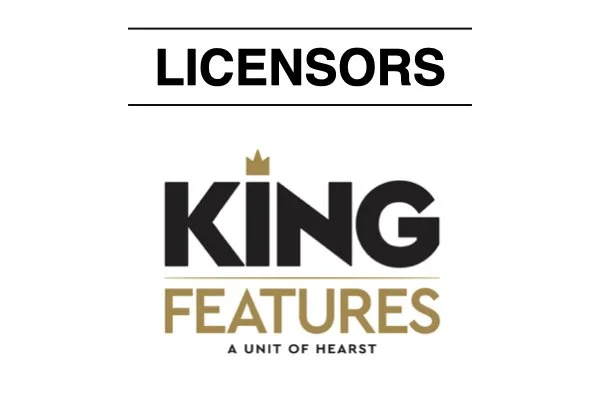 Born LIcensing - Project Detail Template-v2.023.jpeg