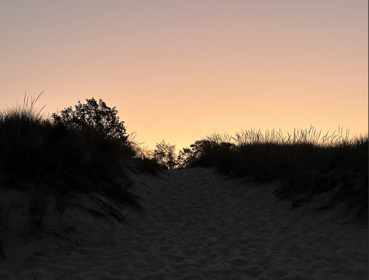Sand dune pathway surrounded by tall grass at sunset with a colorful sky near Lake Michigan.