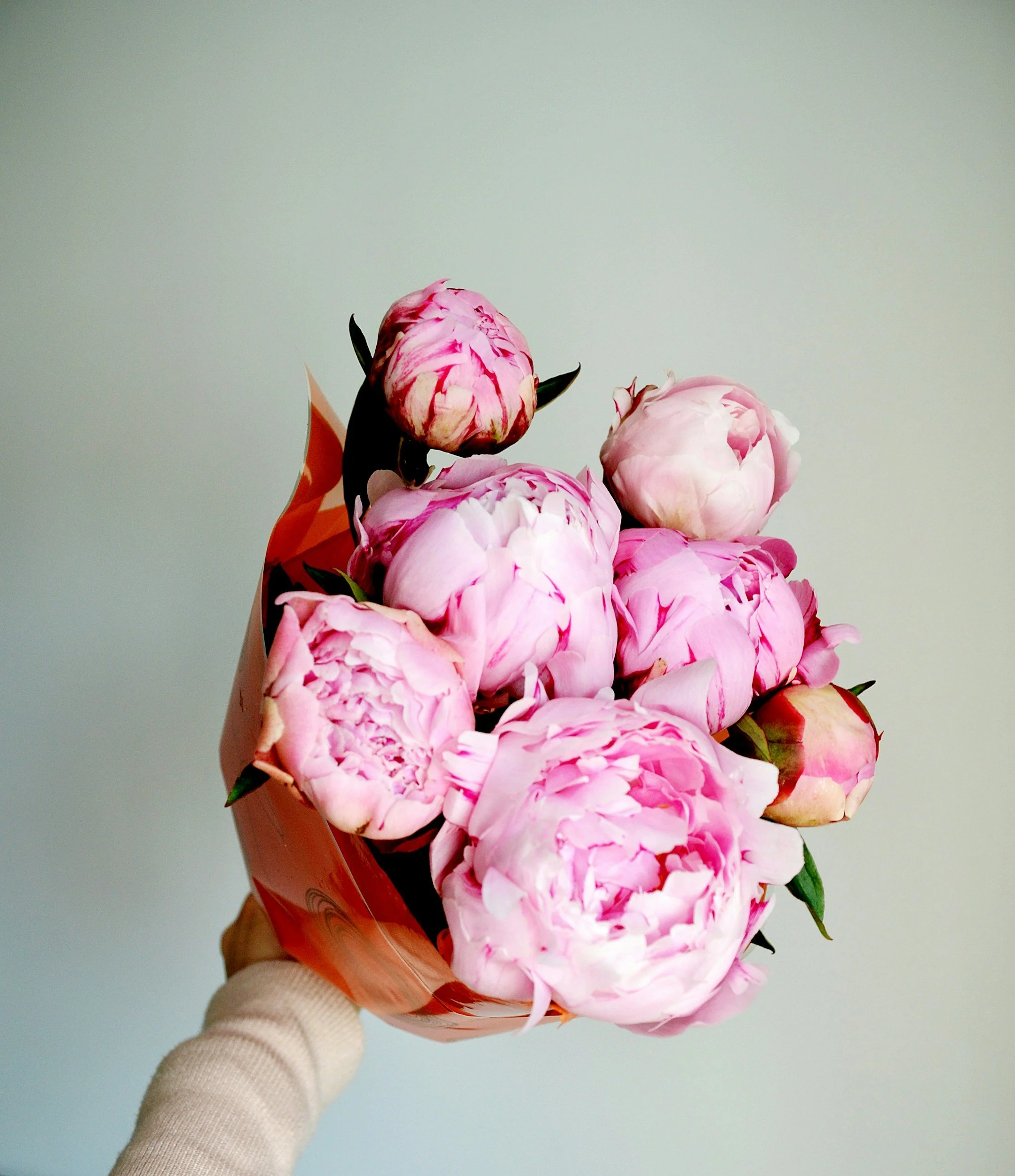 Person holding a bouquet of pink peony flowers wrapped in orange paper against a plain background.
