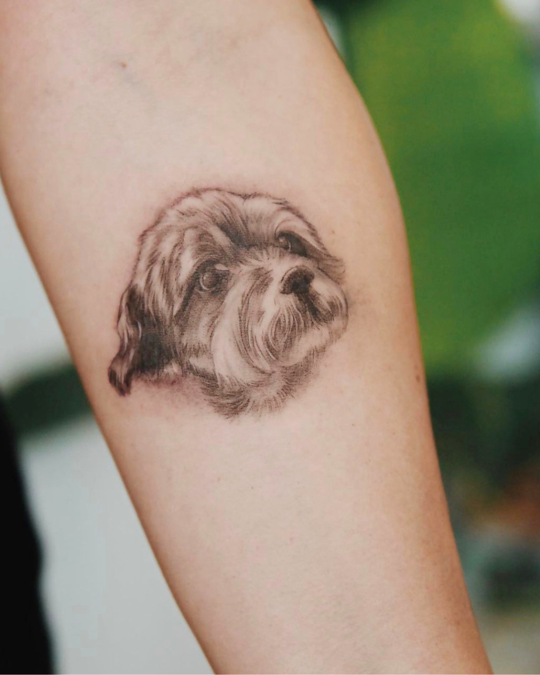 Microrealismo Retrato microrealista de perro tatuado por Manuela Medina en Gandía