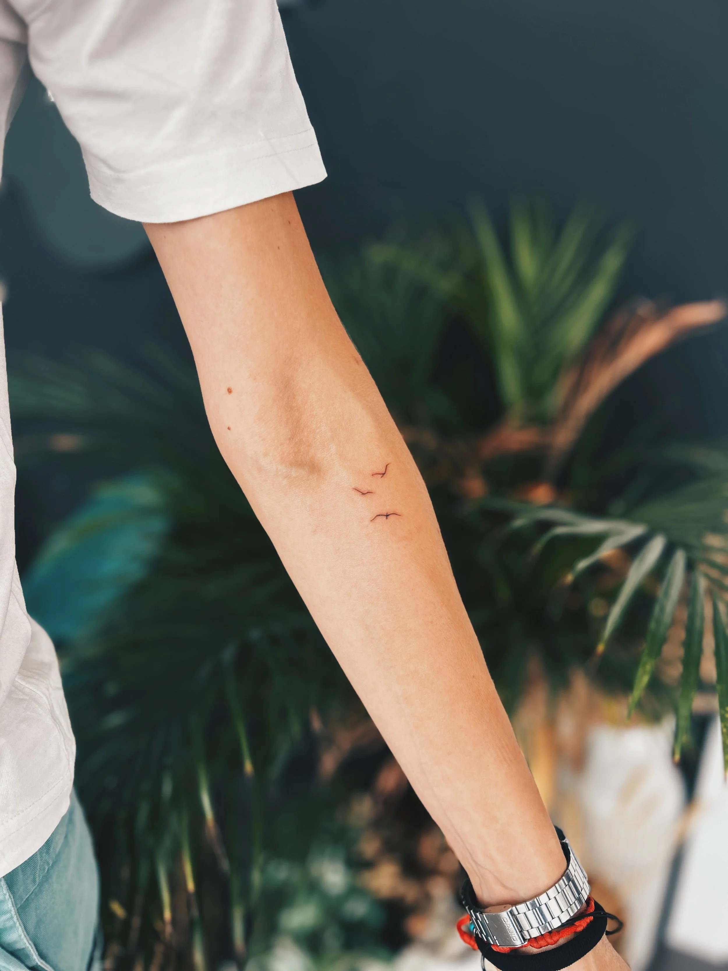 Tatuaje Fine Line pájaros realizado por manuela medina en purezas tattoo