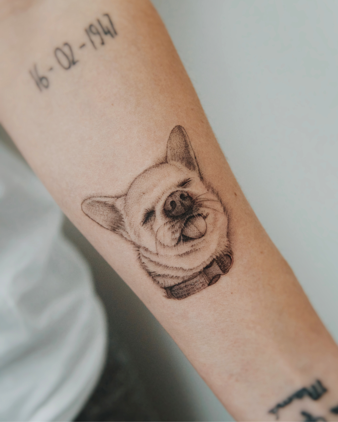Tatuaje microrealista de perro realizado por Manuela Medina en Purezas Tattoo